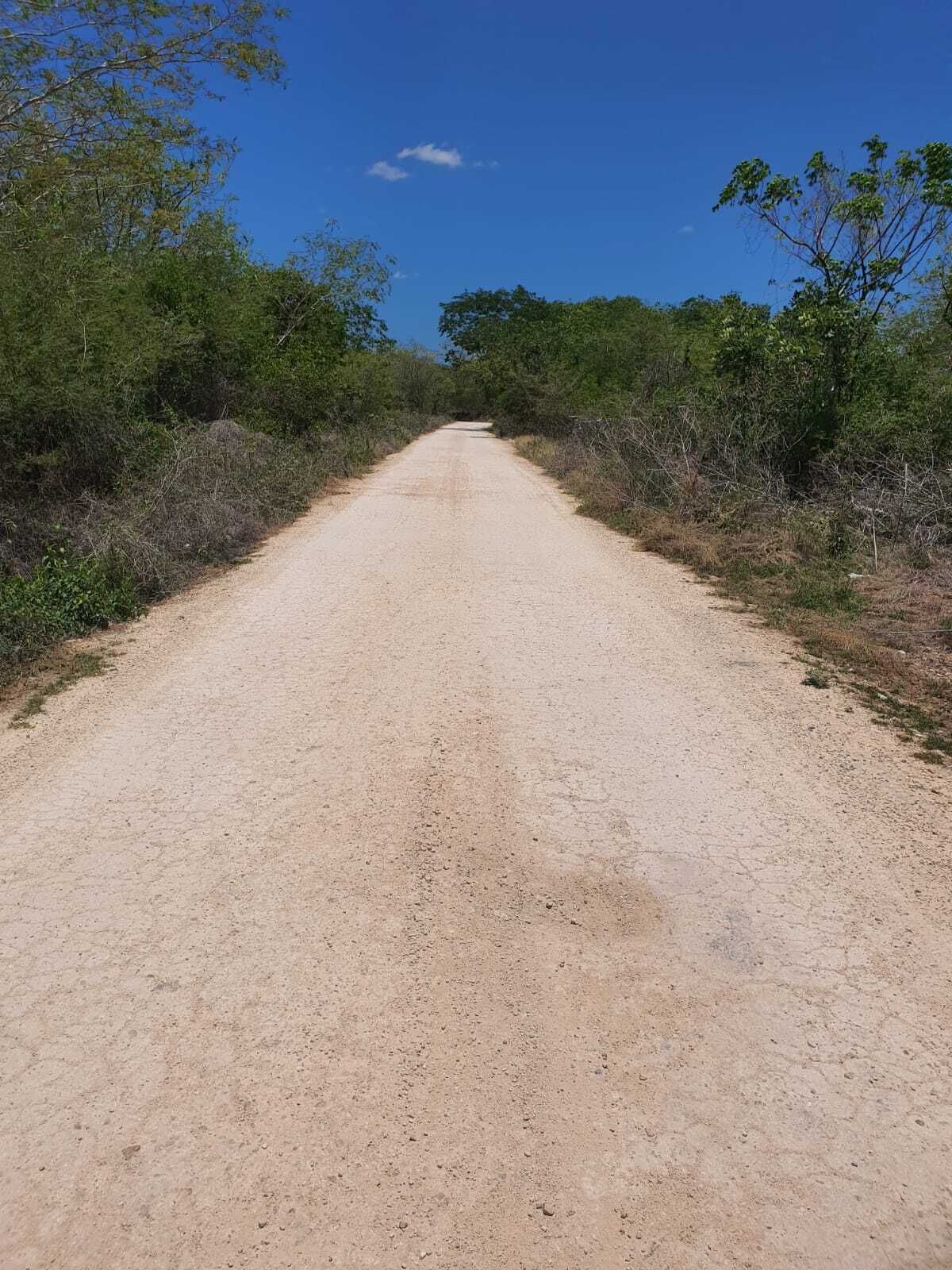 3 de 5