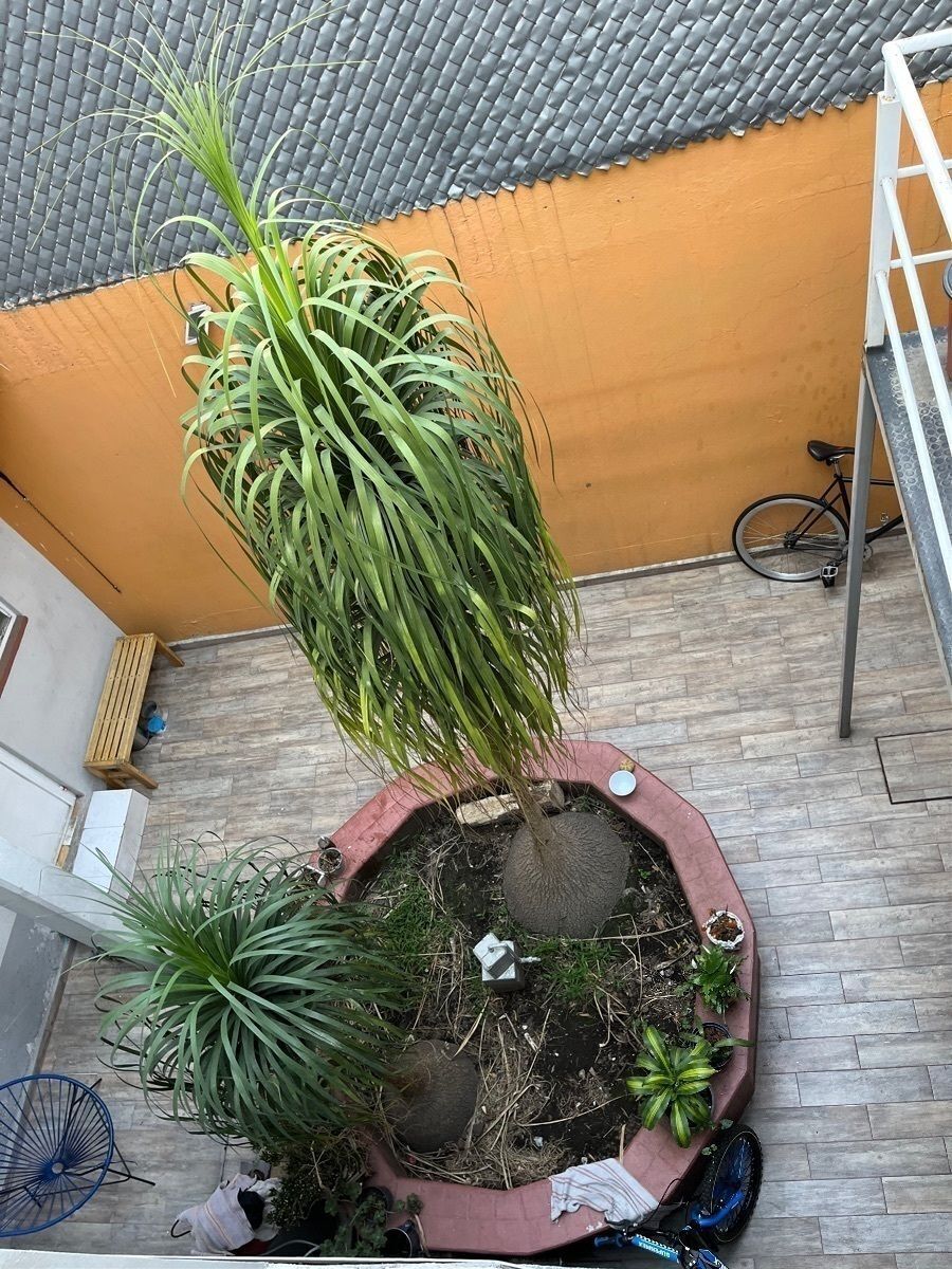 2 de 16