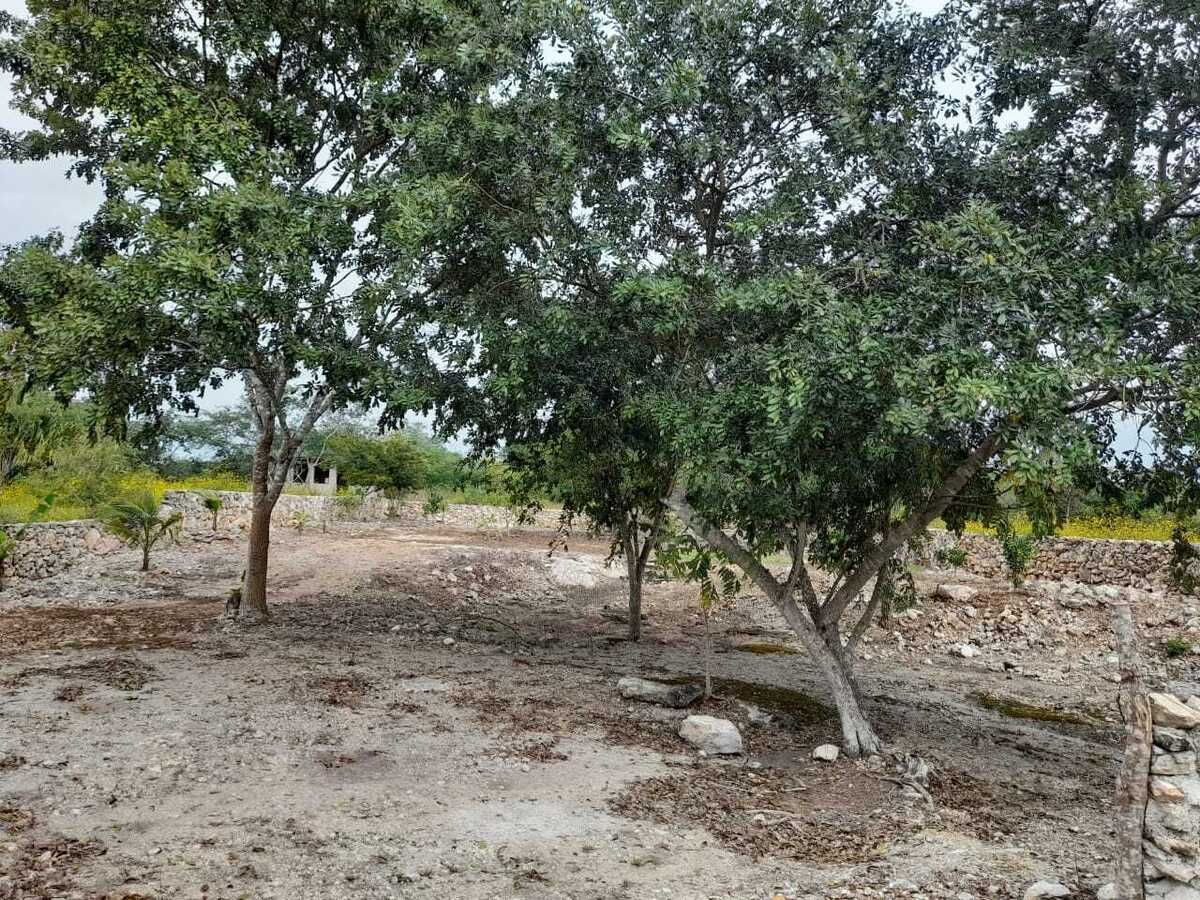 3 de 10