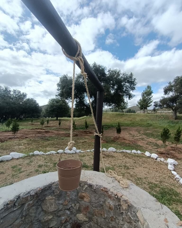 6 de 20