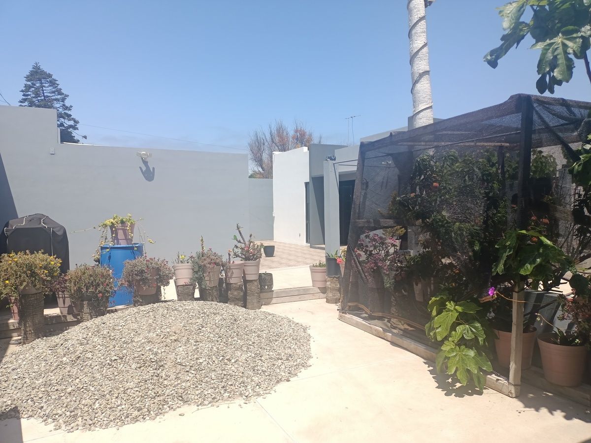 8 de 19