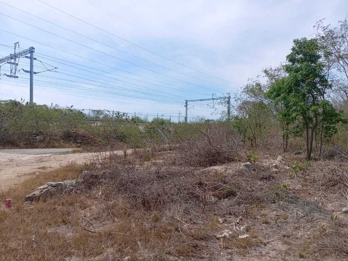 6 de 17
