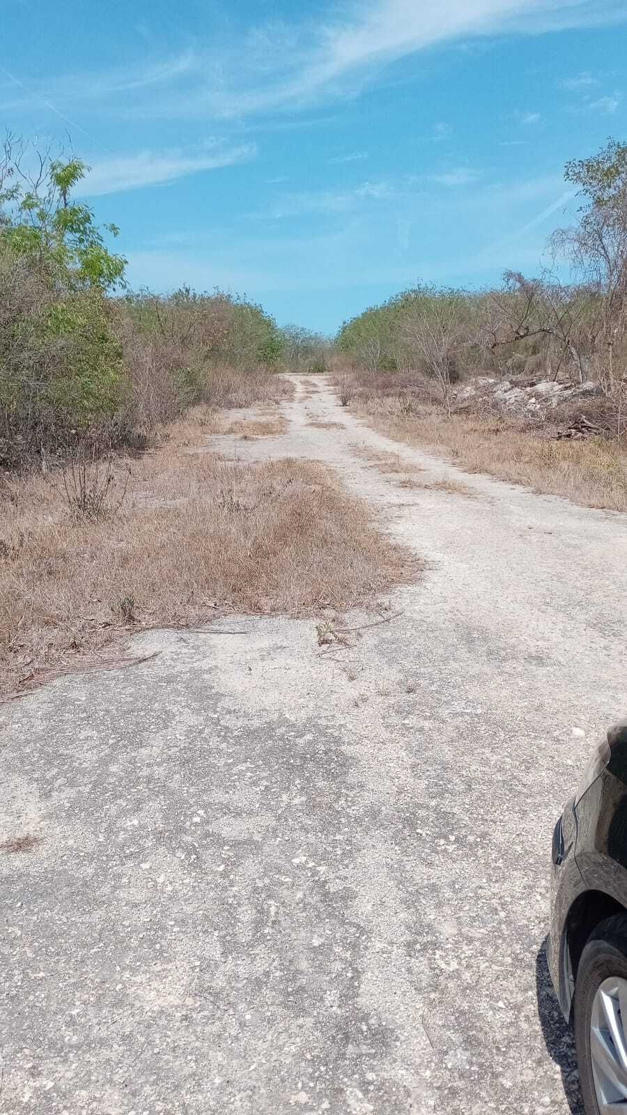 8 de 16