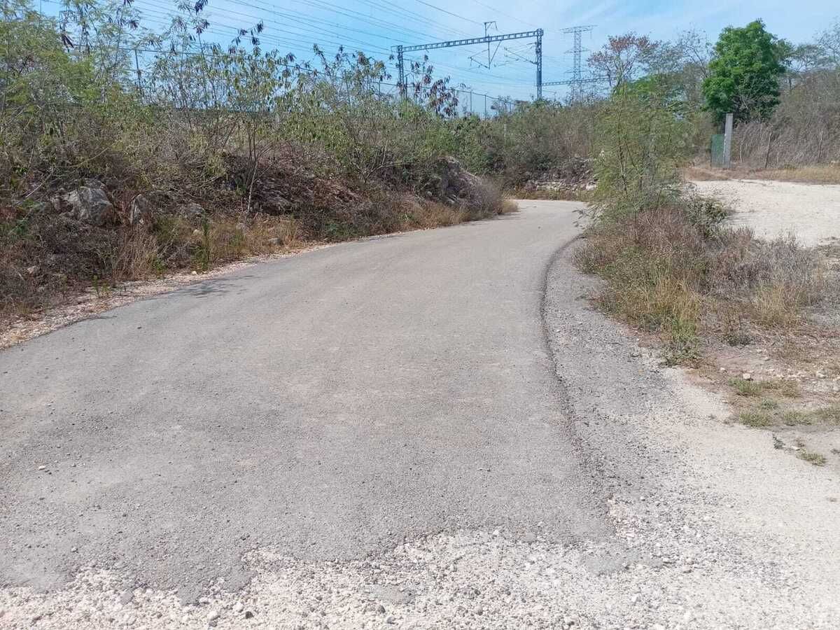 12 de 17