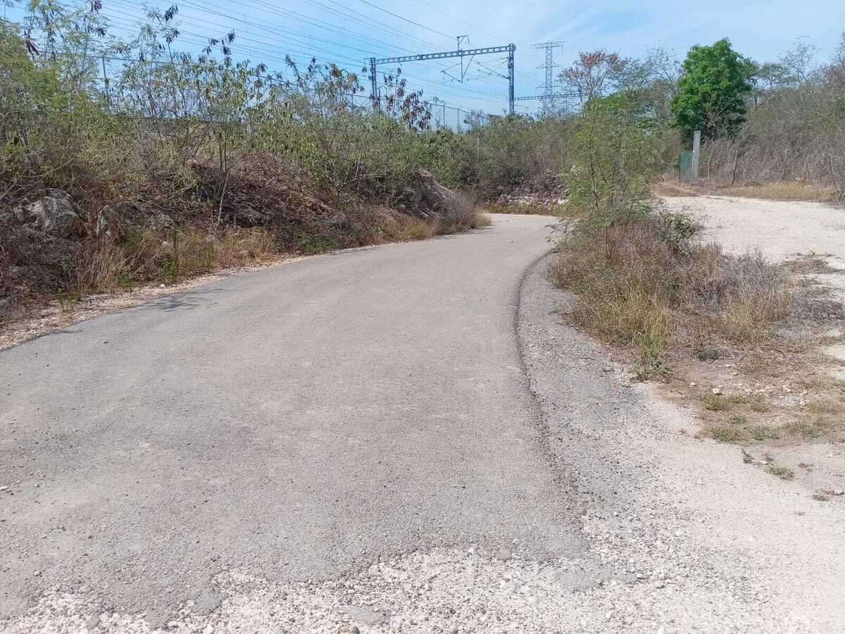 13 de 16