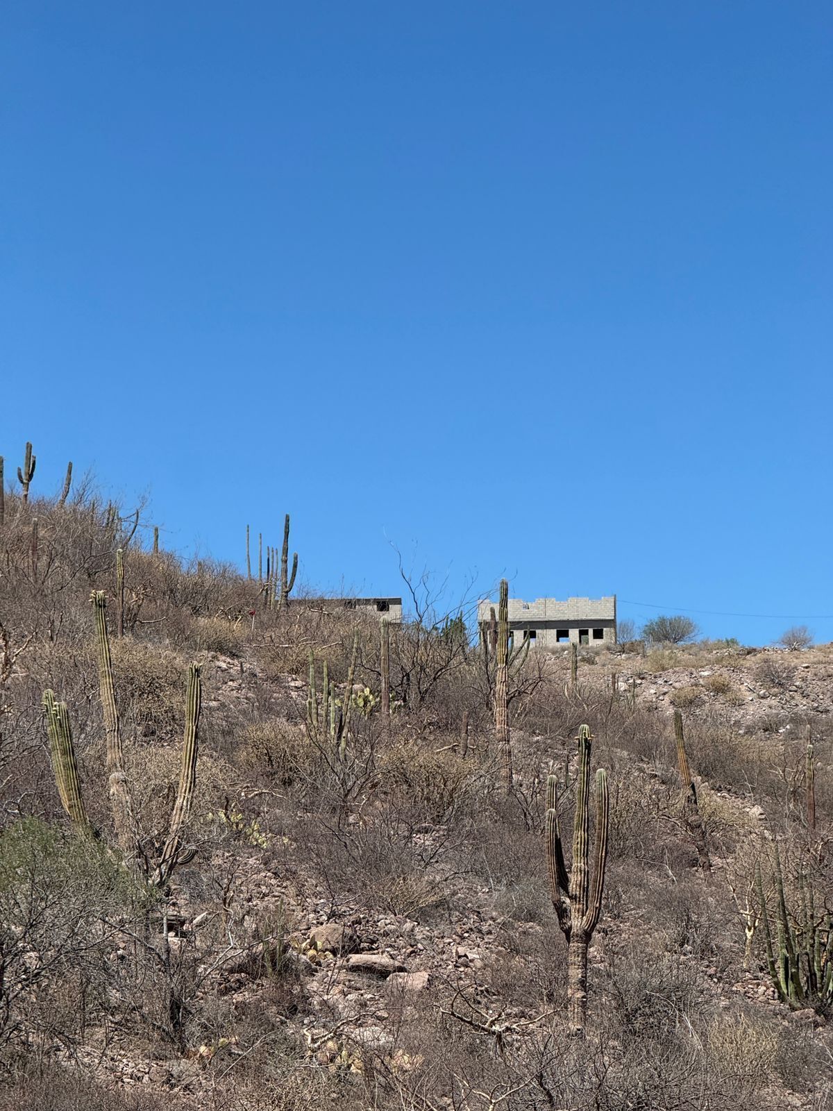 4 of 5: Vista de construcciones cercanas