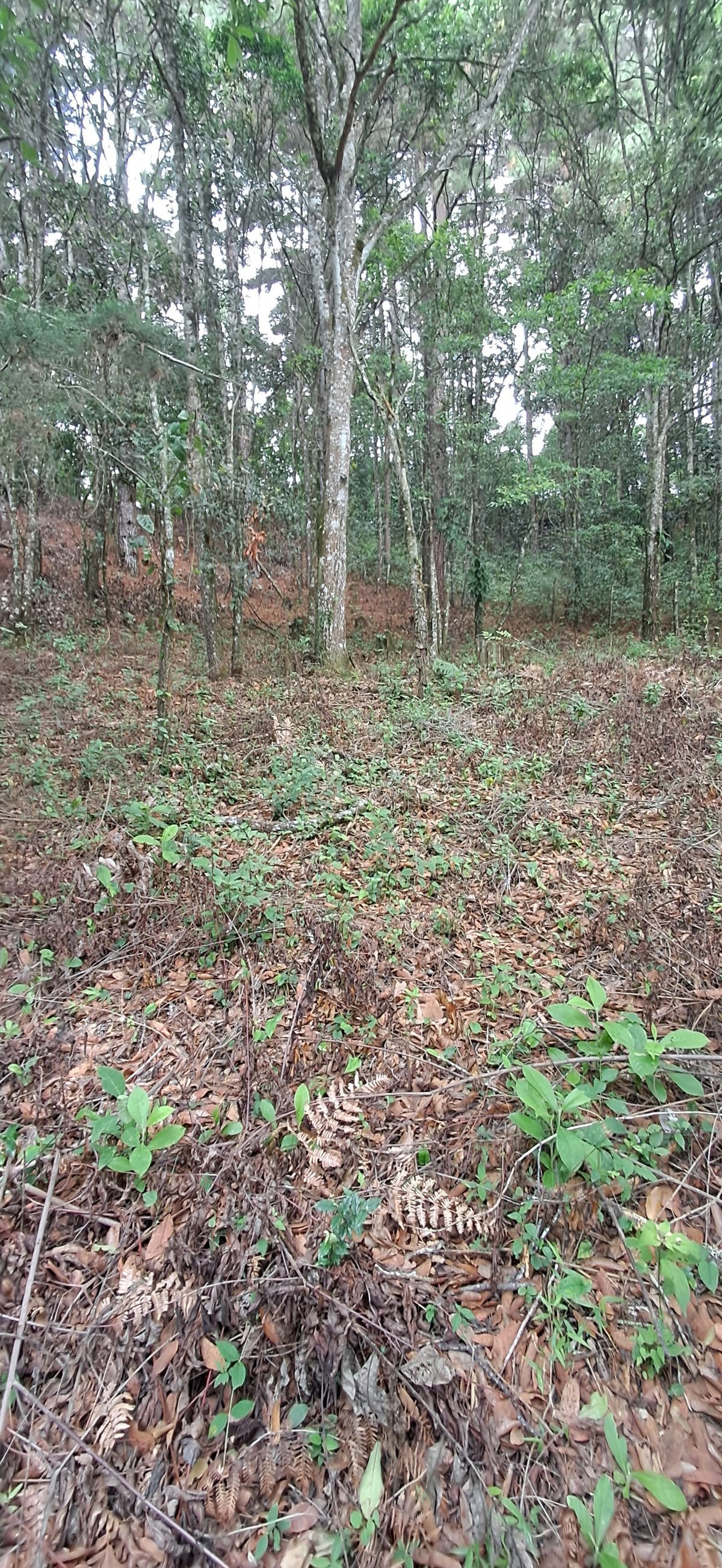 5 de 7
