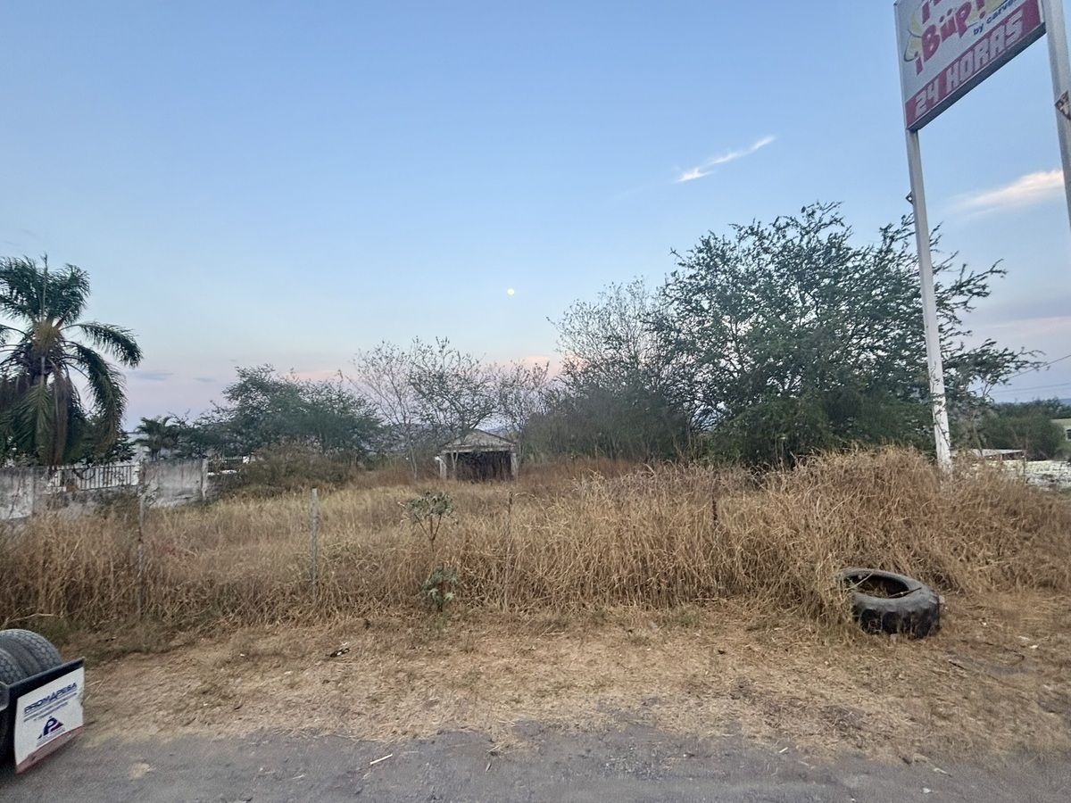 7 de 12