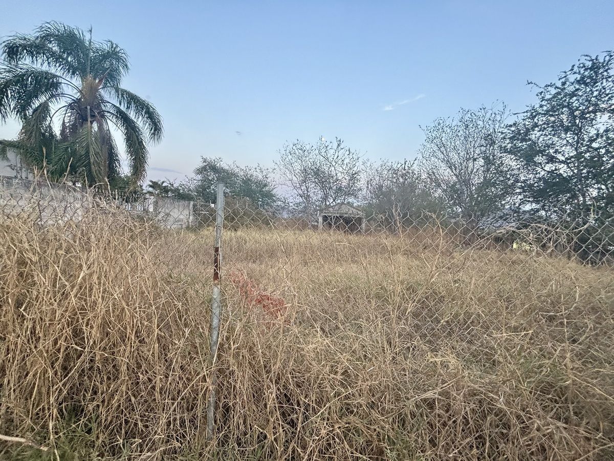 8 de 12