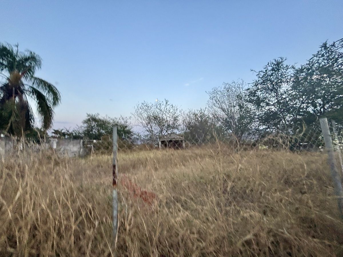 9 de 12