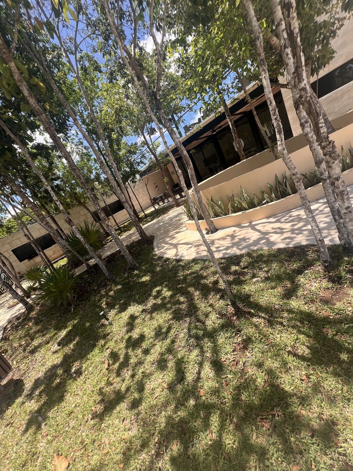 33 de 34