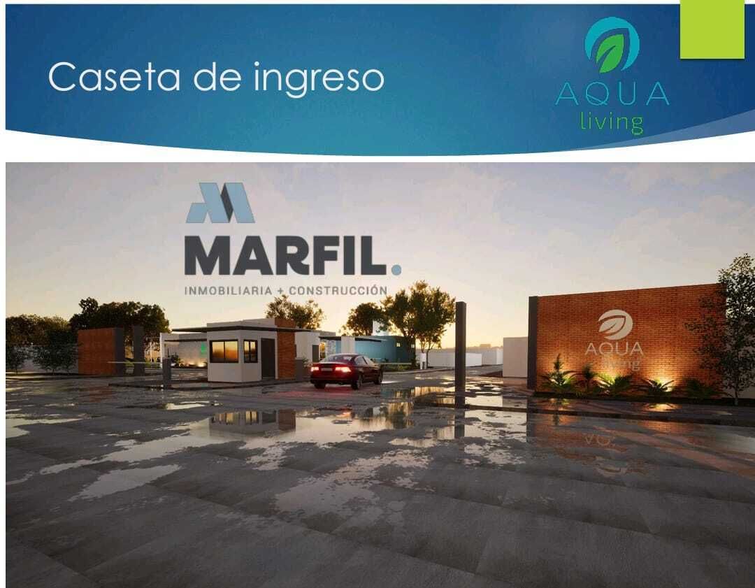 3 de 7