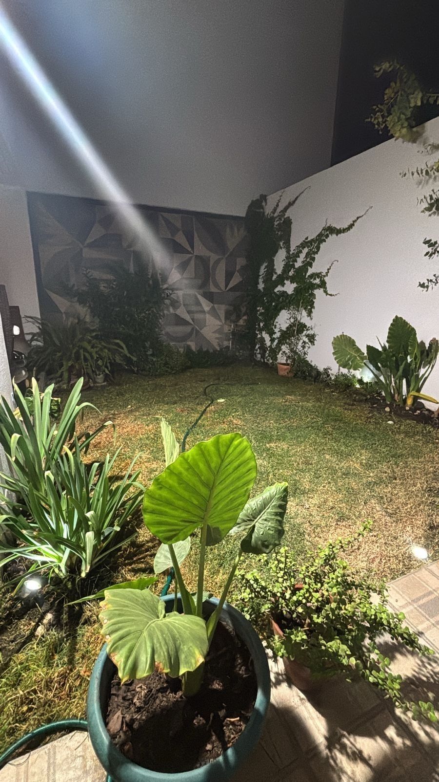 3 de 15
