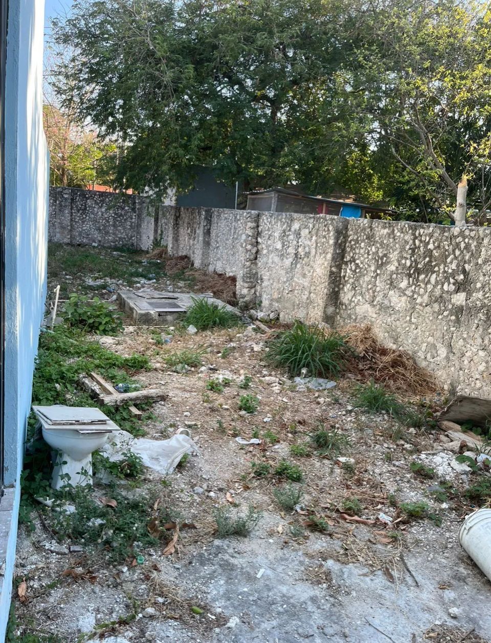 12 de 28