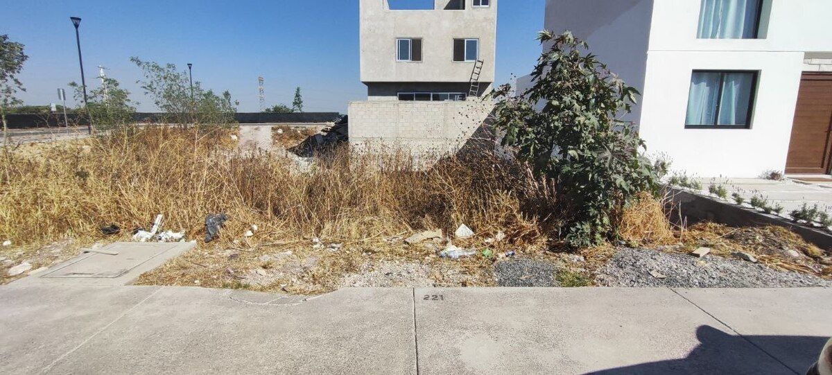 11 de 17