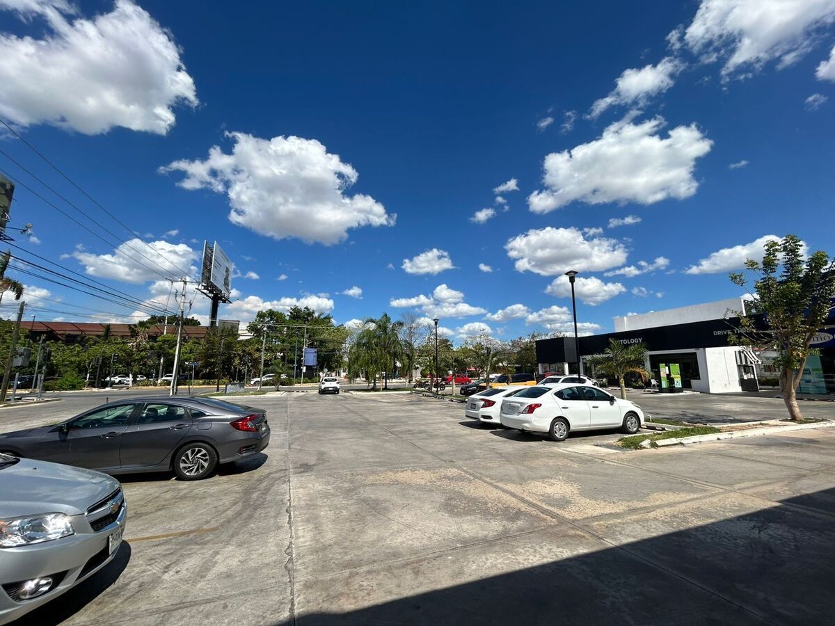 5 de 5