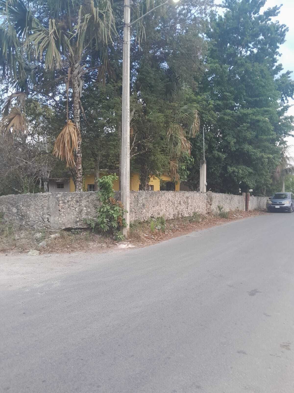 1 de 7