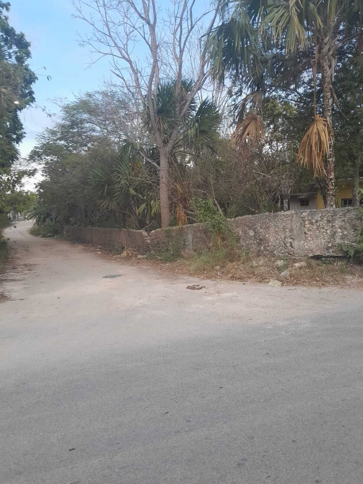 5 de 7