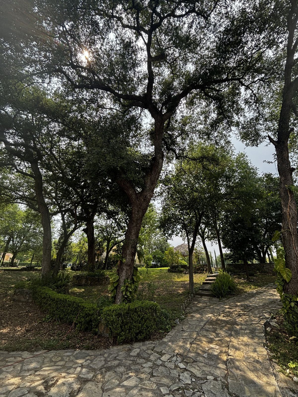 12 of 50
