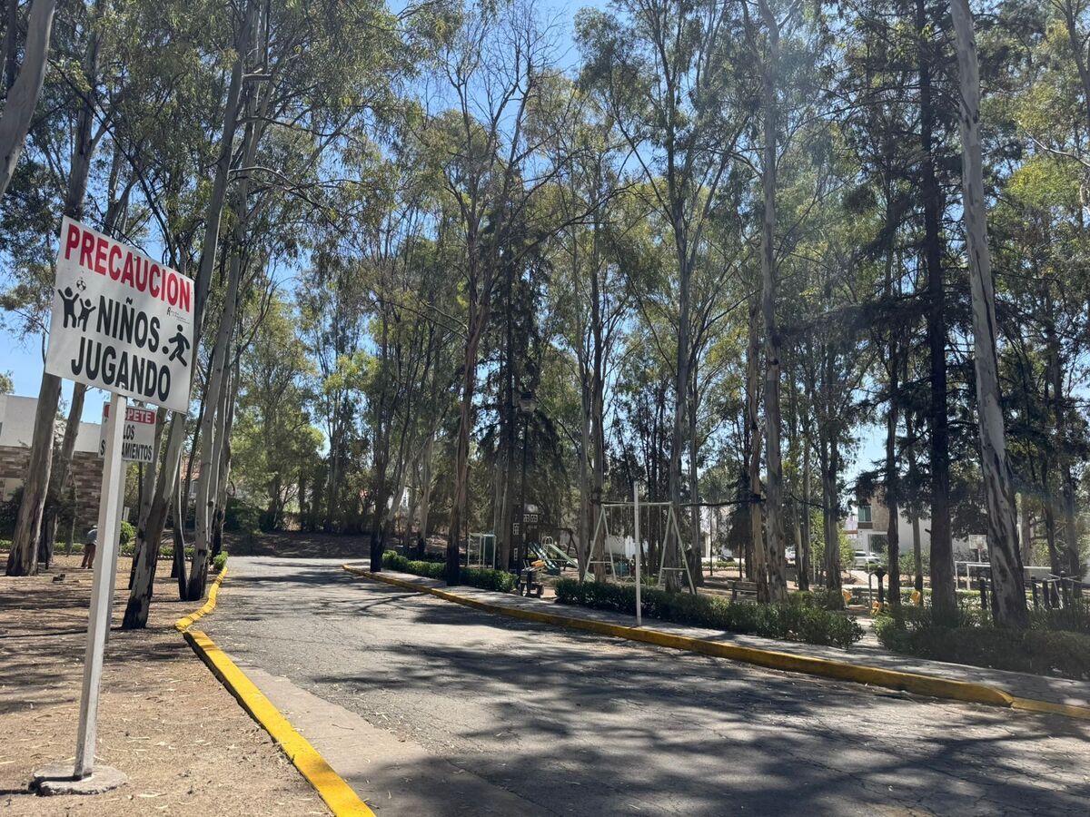2 de 12