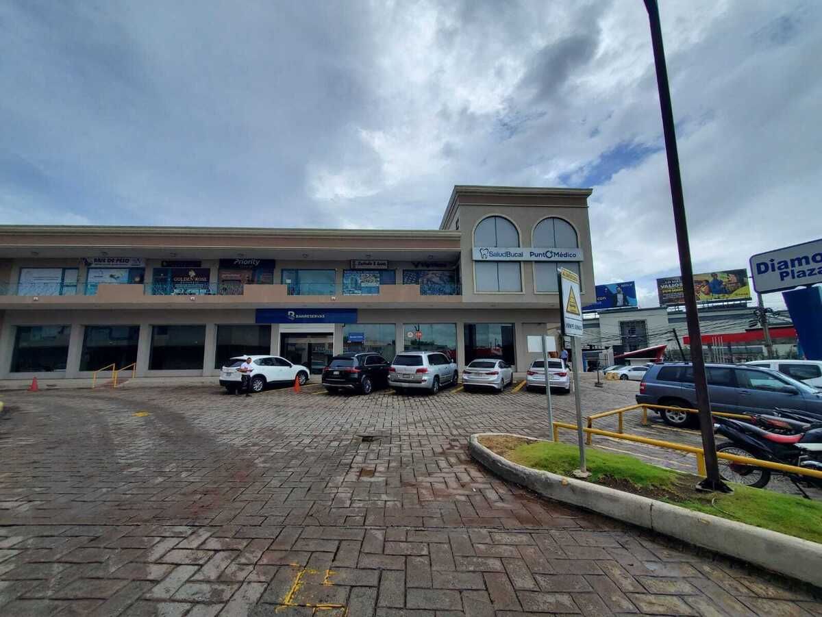 7 de 13