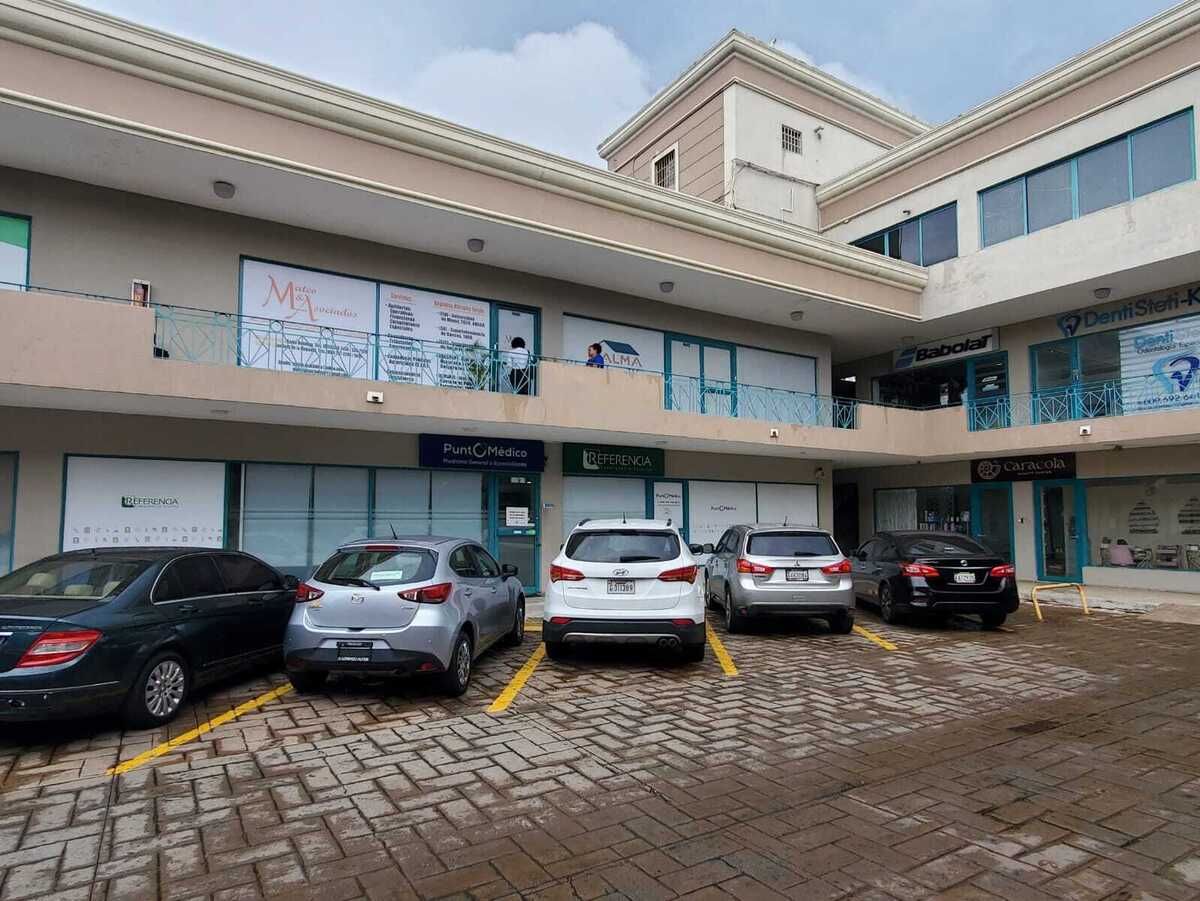6 de 13