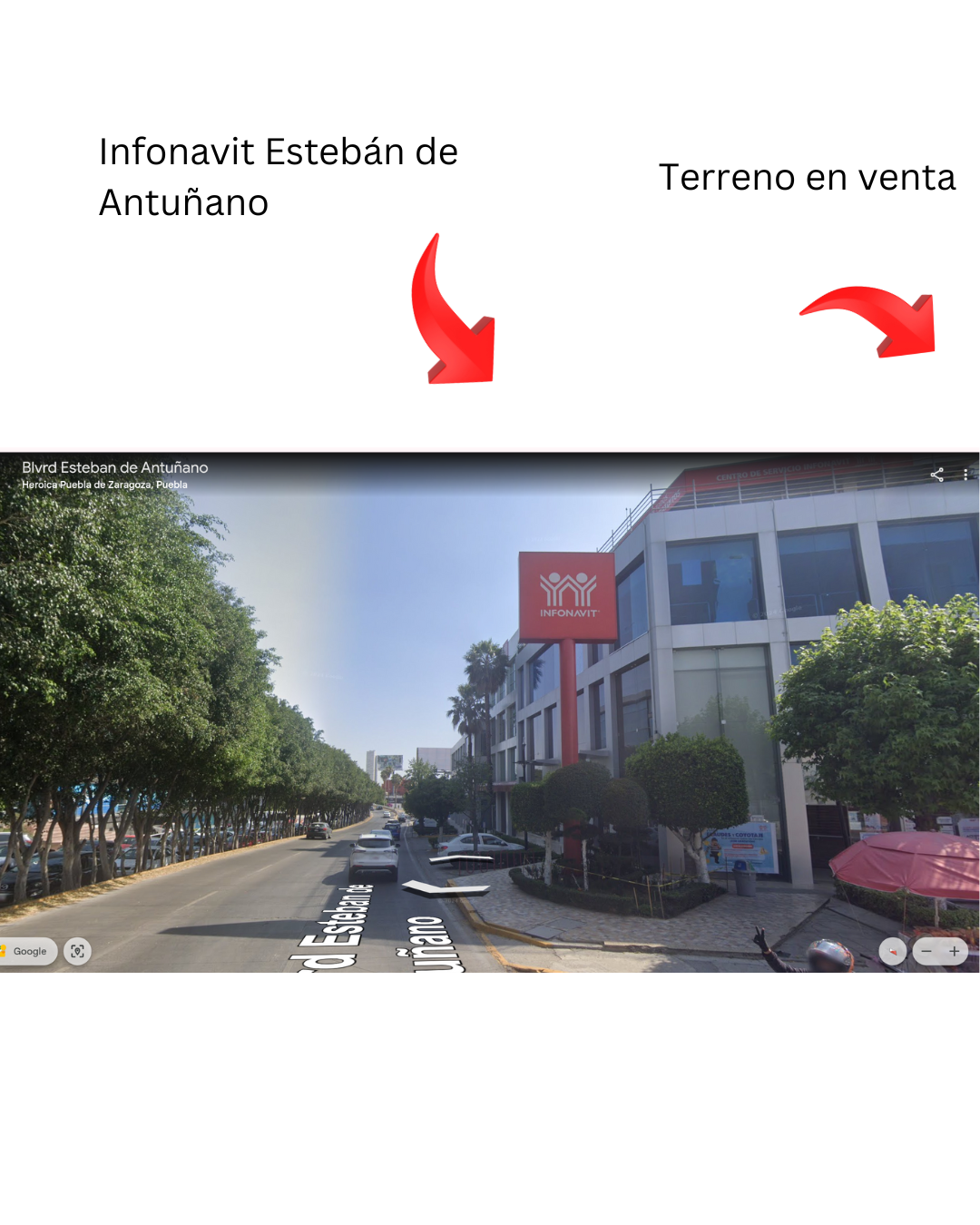 3 de 14