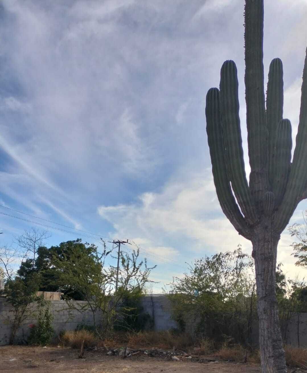 1 de 6