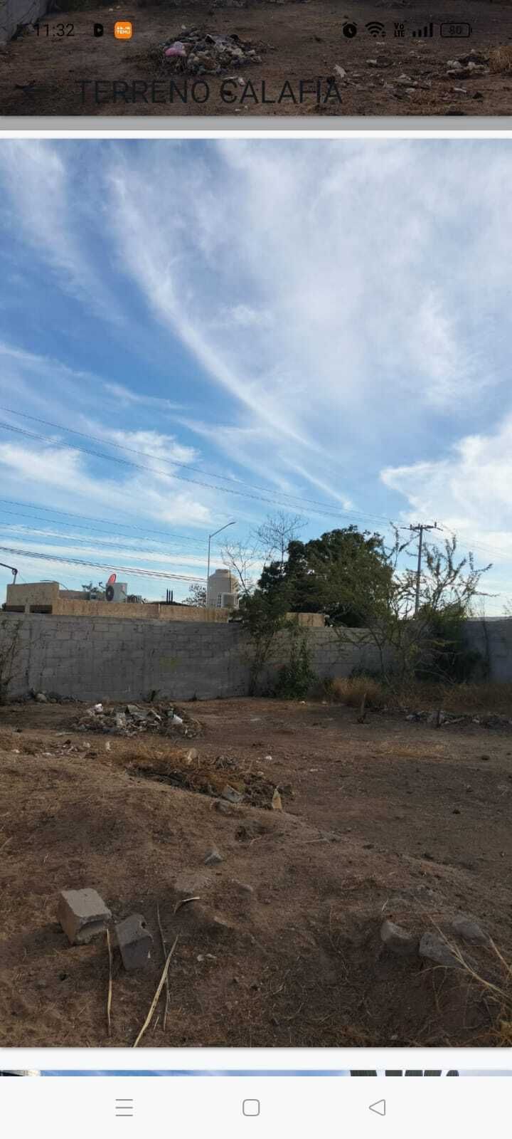 3 de 6