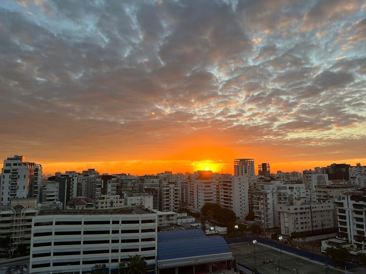 29 de 29