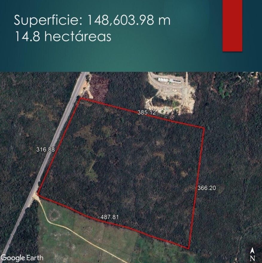 4 de 6