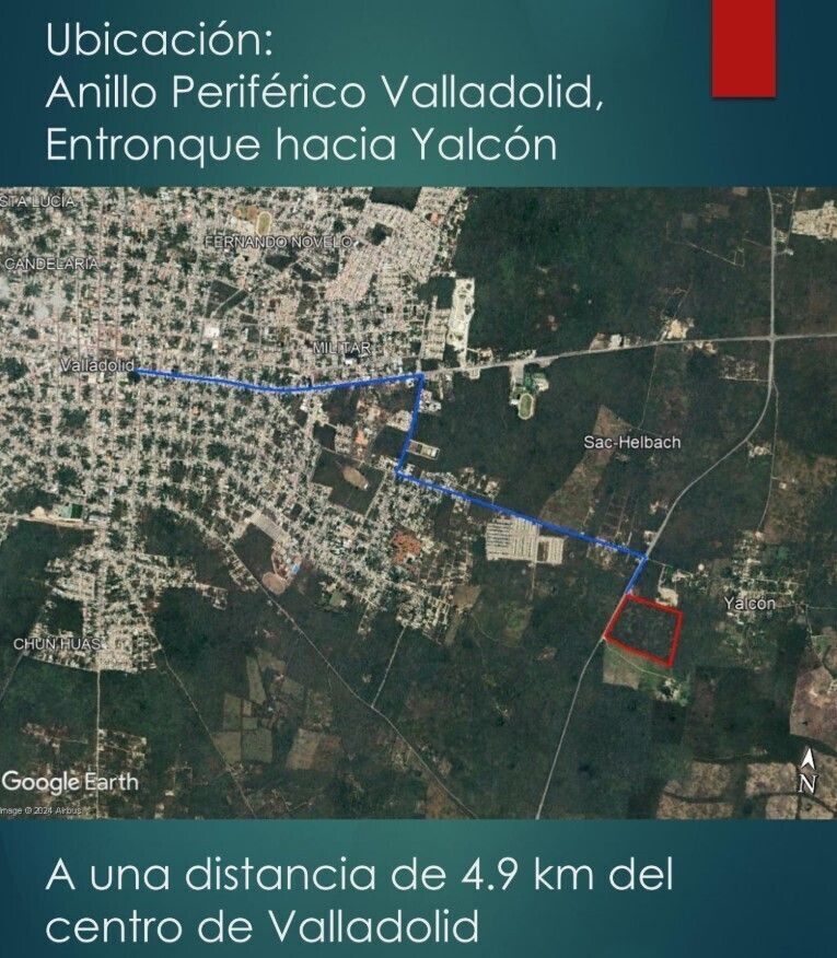 3 de 6