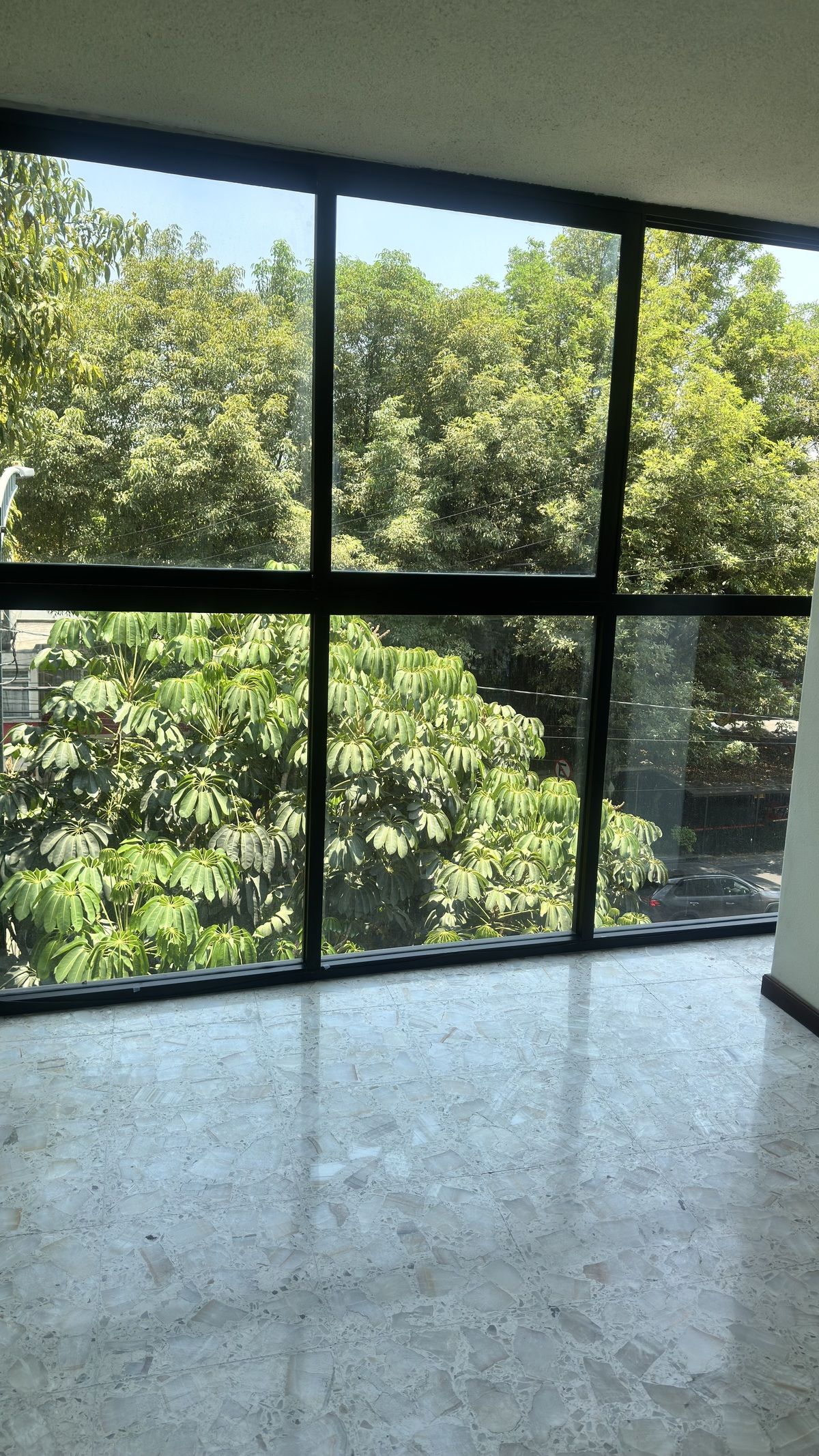 4 de 14