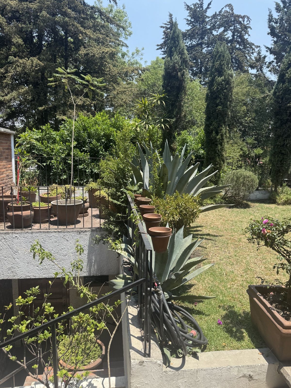 34 de 37