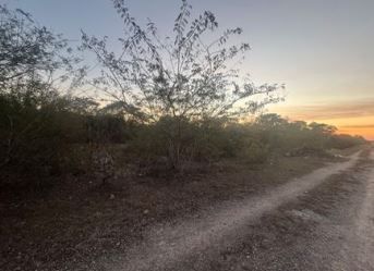 7 de 11