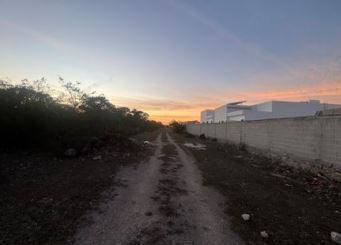 10 de 11