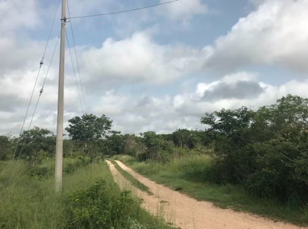 1 de 3
