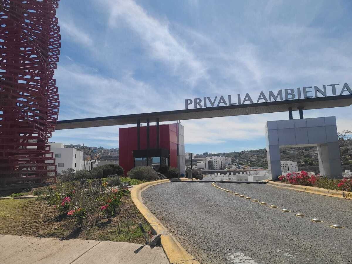 12 de 12