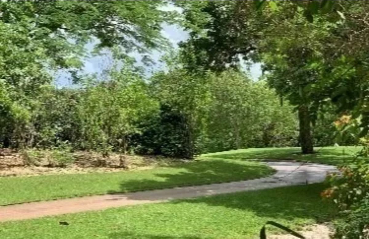 1 de 4