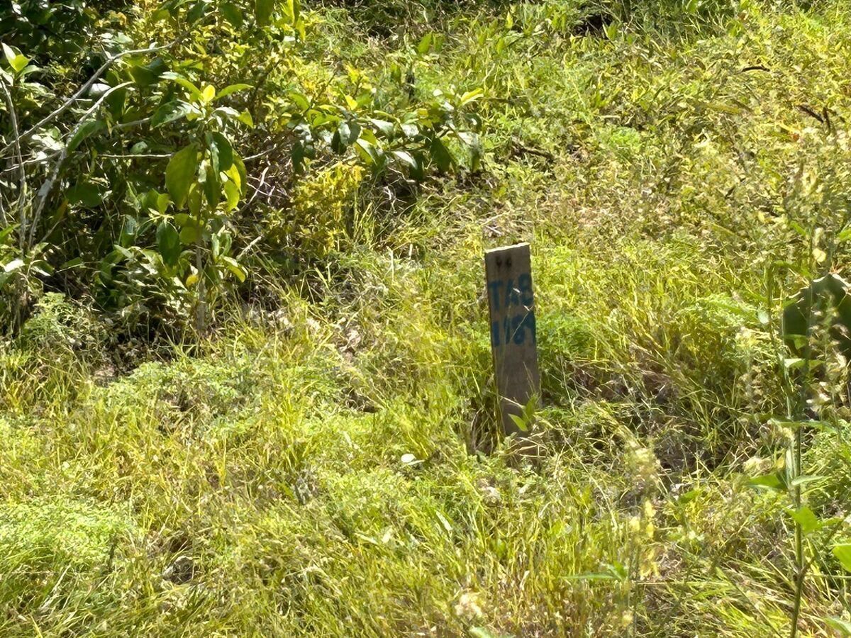 2 de 5