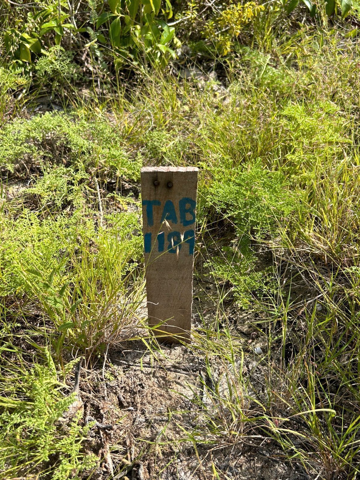 3 de 5