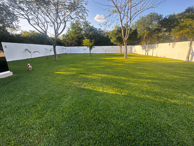 2 de 6