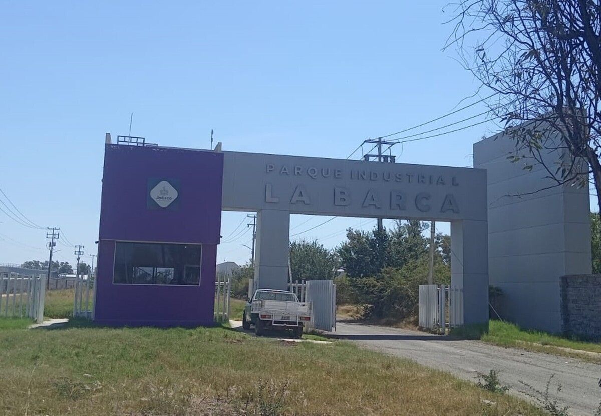1 de 6