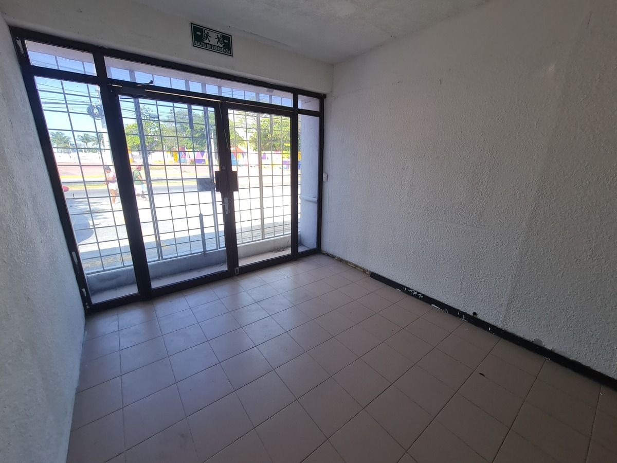 11 de 26