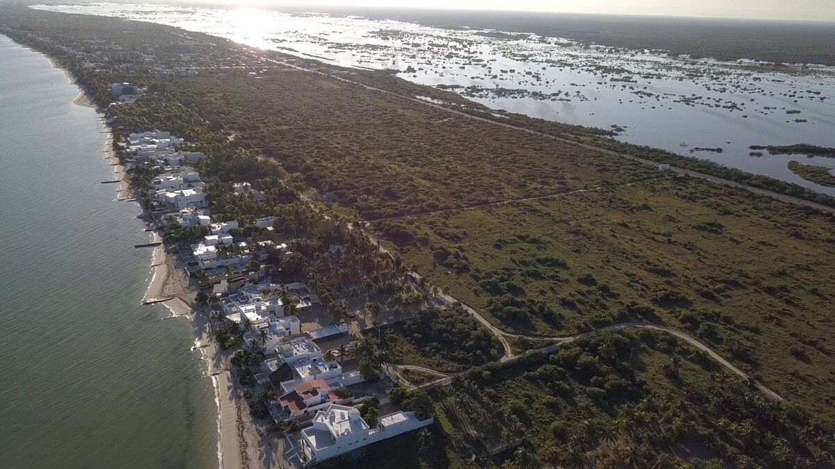 Terreno en Venta en la Playa, Chicxulub Puerto, Yucatán - foto 5