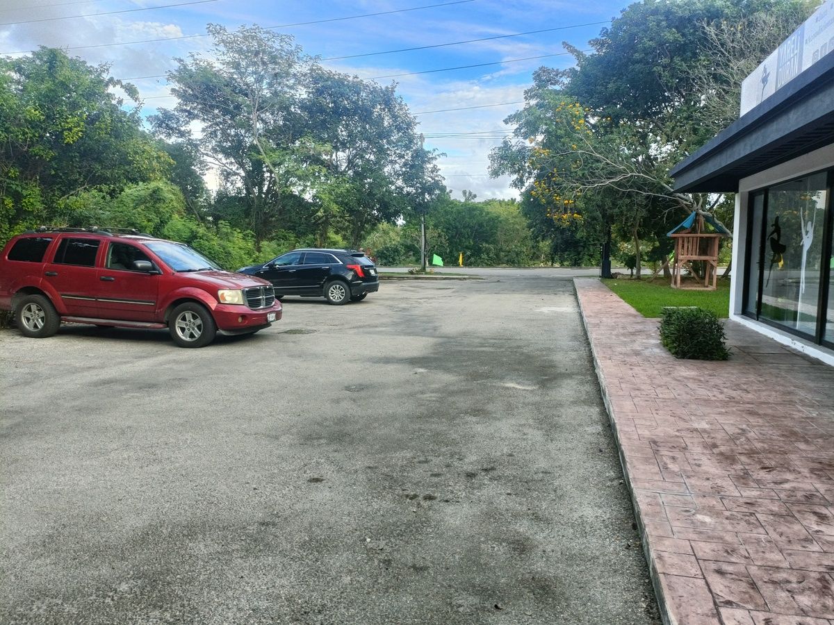 5 de 5