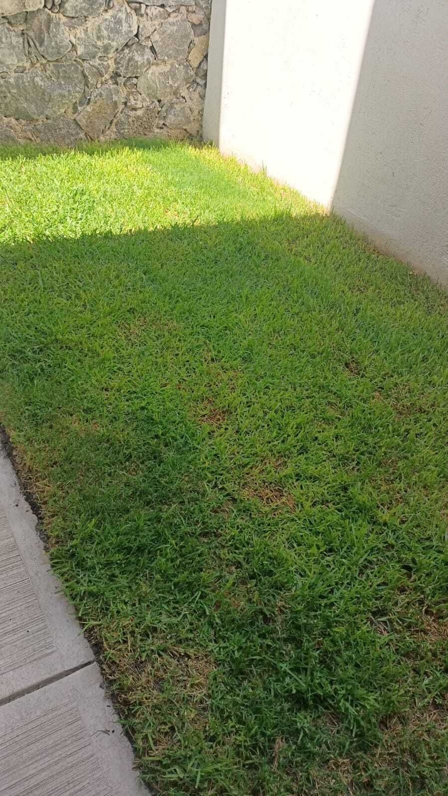 27 of 29