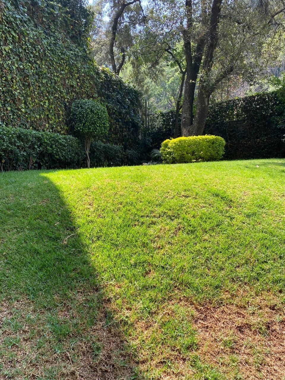 33 de 38