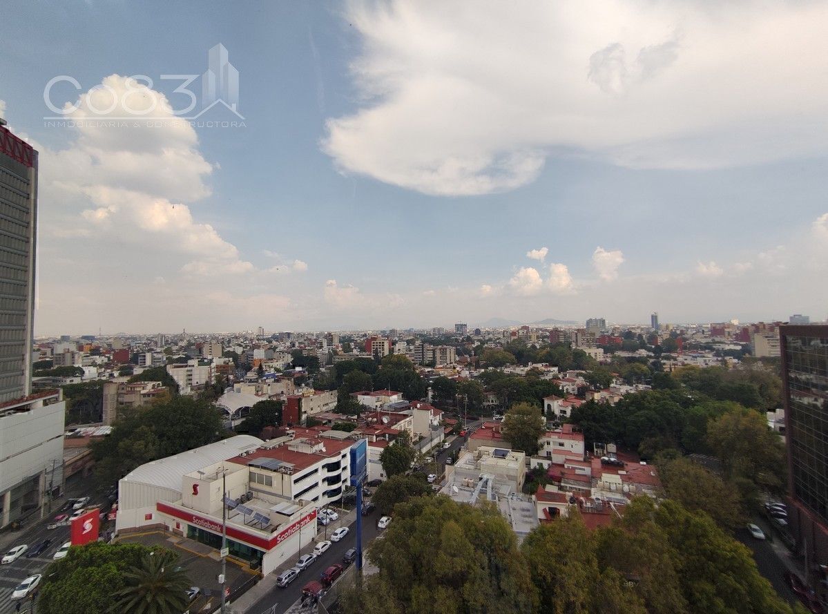 6 de 12