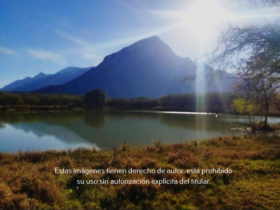 2 de 13